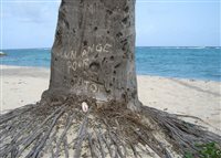 Angel on Guadeloupe, France 